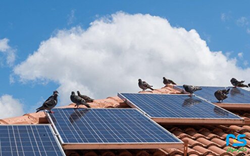 روش‌های مقابله با حیوانات آسیب‌رسان در نیروگاه‌های خورشیدی